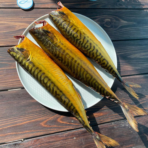 Форель холодного копчения